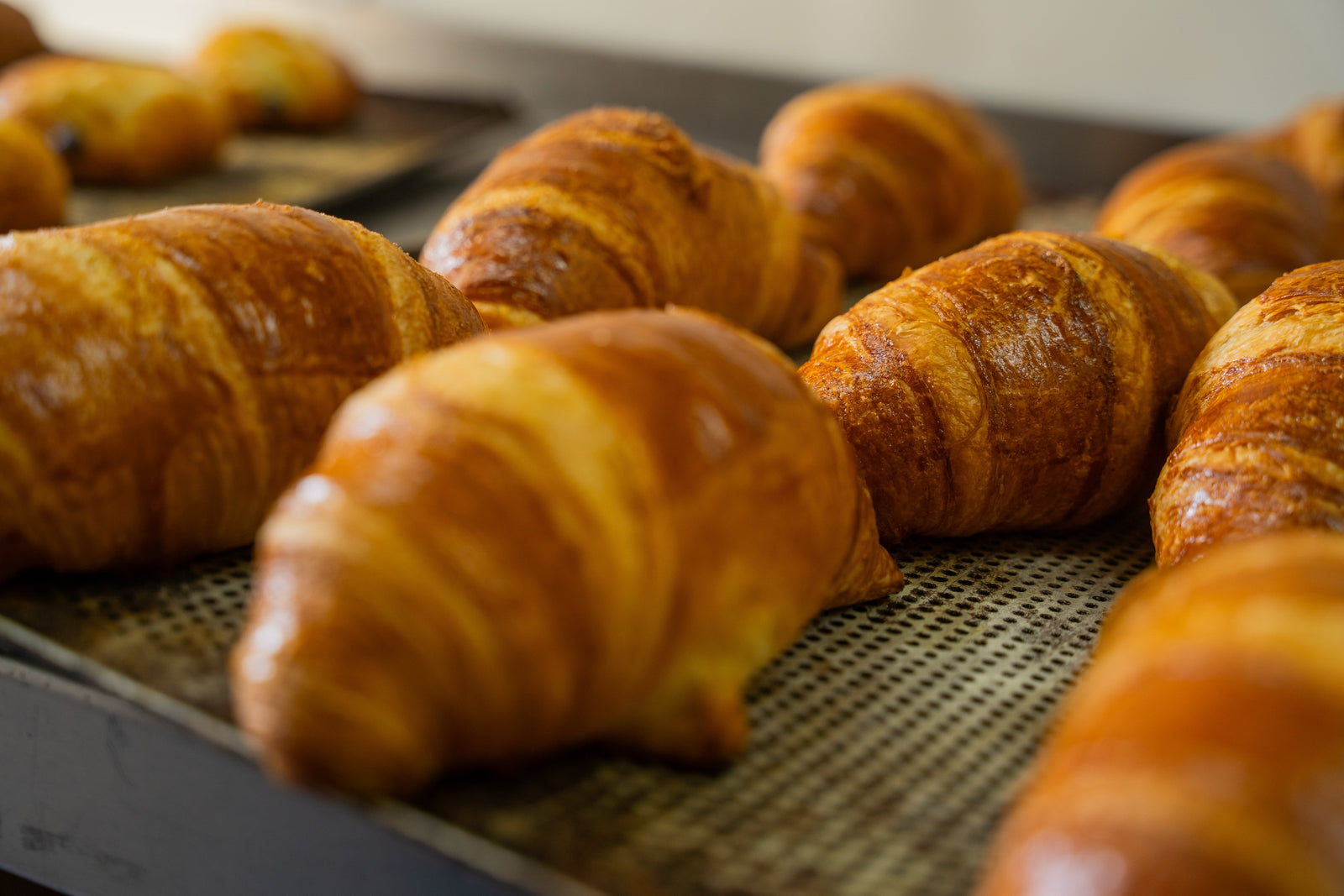 Buy or Rent: A Guide to Refurbished Combi Ovens for Your Kitchen