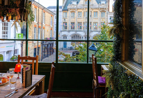 CaterCombi x Olive Grove